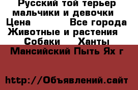 Русский той-терьер мальчики и девочки › Цена ­ 8 000 - Все города Животные и растения » Собаки   . Ханты-Мансийский,Пыть-Ях г.